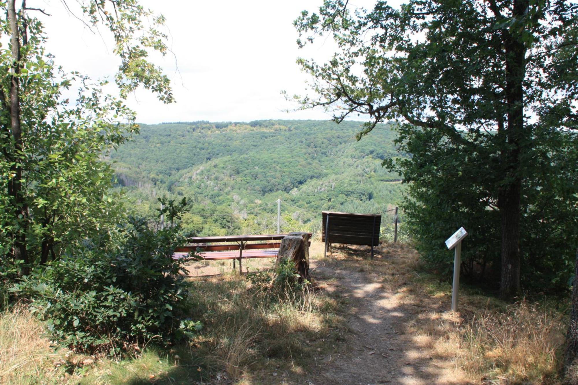 Haus Buchholz Apartamento Liesenich