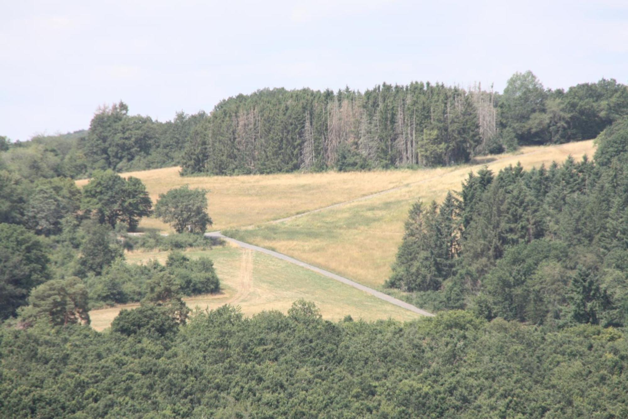 Haus Buchholz Liesenich