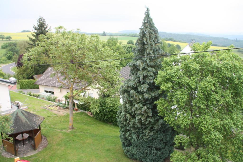 Haus Buchholz Apartamento Liesenich